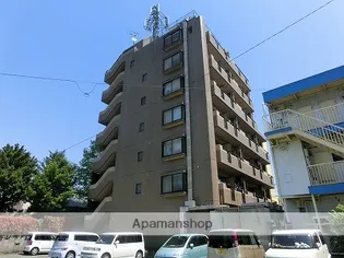 ワイズ若竹の画像