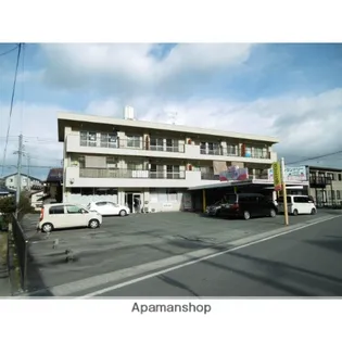 プラシード正栄の画像