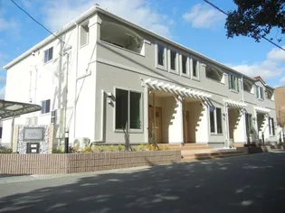 フロロース Aの画像