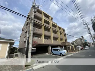 メゾン・ビューアルカディア【203号室】の外観