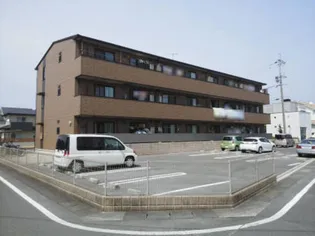 ユーエム セイラの画像