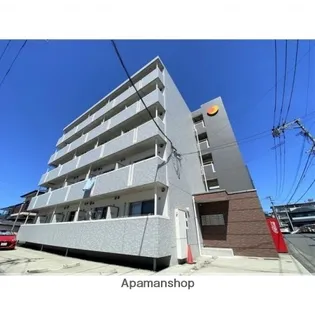 サンライト月出の画像