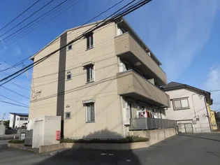 チェルシー広崎の画像