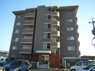 ベージャフロールの画像