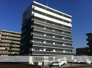 ブルームの画像