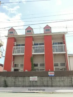 ピカソ若葉の画像