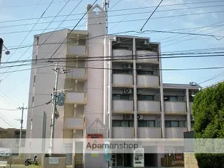 アンビシャス月出の画像