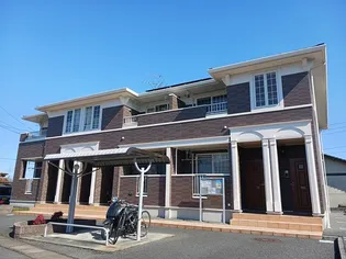 サンフラワーAの画像