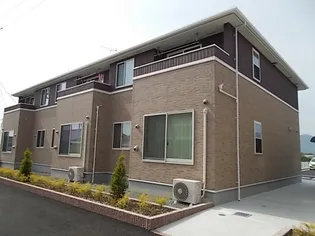 エンジョイ Dの画像