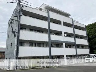 チェリーブロッサムⅢの画像