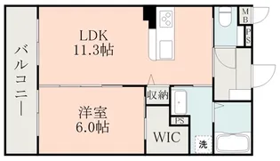 グラン菊池【1階】の間取り