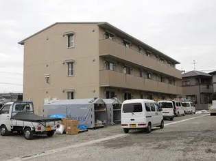 サンフラワー須屋の画像