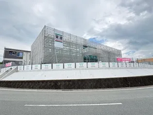 メープルⅡの画像