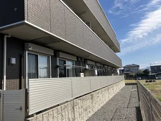 サンフラワー須屋の画像