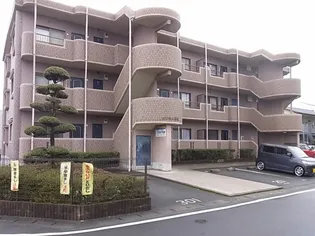 エクセル進成の画像