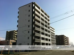 アマランツ菊陽の画像