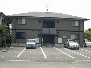 カメリアIIの画像