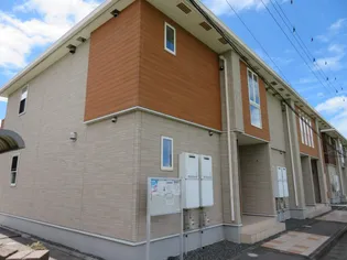 プラシードBの画像