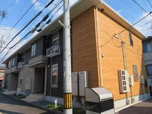 プリムローズの画像