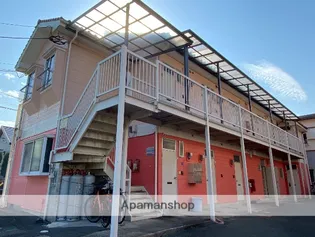 オレンジフローラIIの画像