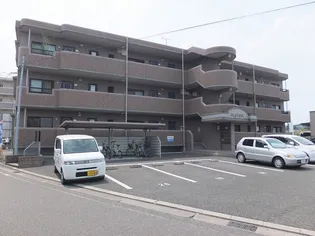 Mソレイユの画像