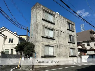 トリタート藤の画像