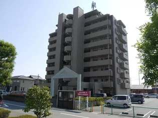 インフィニティ田迎【902号室】の外観