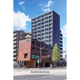 RISE KUMAMOTO EXEの画像