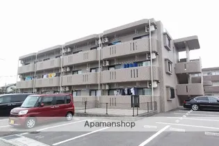 ユーミー須賀の画像