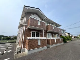 クレメントBの画像