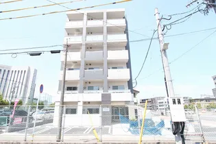 アンゼリカの画像