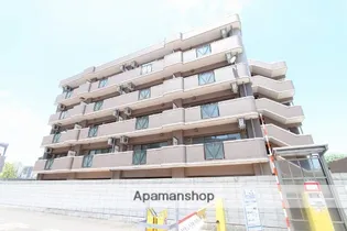 VIRA HISHIMOTOの画像