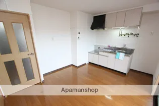 DREAM.M仲町【303号室】のキッチン