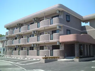 MAISON JEUNESSEの画像