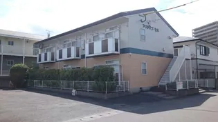 アクティブ セキの画像