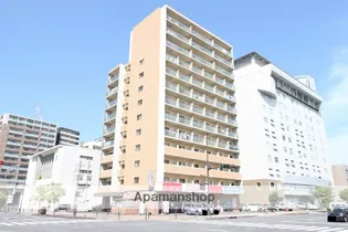 エヴァーグリーンの画像