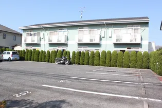 アクティブライトの画像