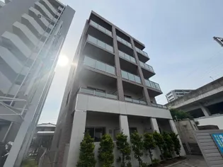 エル ミオーレの画像