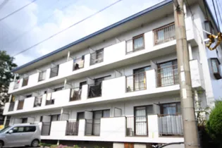 システィーナ石田の画像