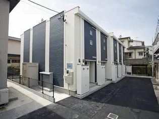 レオネクストやくまるの画像