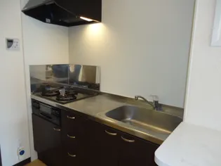 レオネクストディライトⅡ【1階】のキッチン