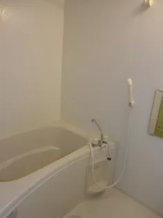 レオネクストディライトⅡ【1階】の風呂