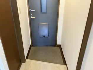 ヒルサイドテラス【202号室】の玄関