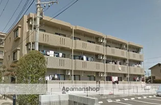 ユーミー須賀の画像