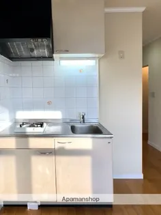 アフランシール上野町【202号室】のキッチン