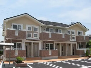 ミミヤヒル Cの画像