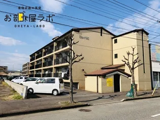 ジョイ85の画像