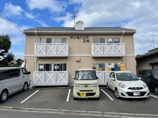 サンセベリア三佐の画像