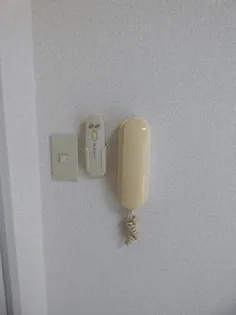 ジュネスコート A棟【1階】の内装