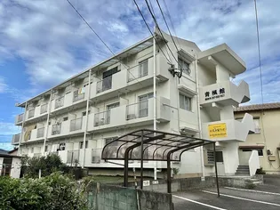 青楓館【207号室】の外観